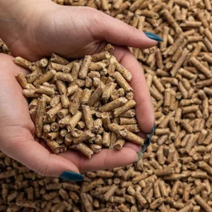 Duck Pellet Feed (floating)