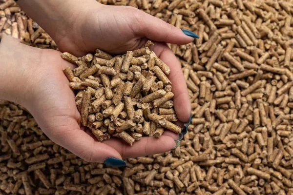 Duck Pellet Feed (floating)
