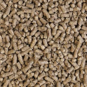 Sow Feed (for breeding sows)