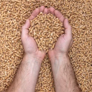Grower Feed (4-12 weeks)