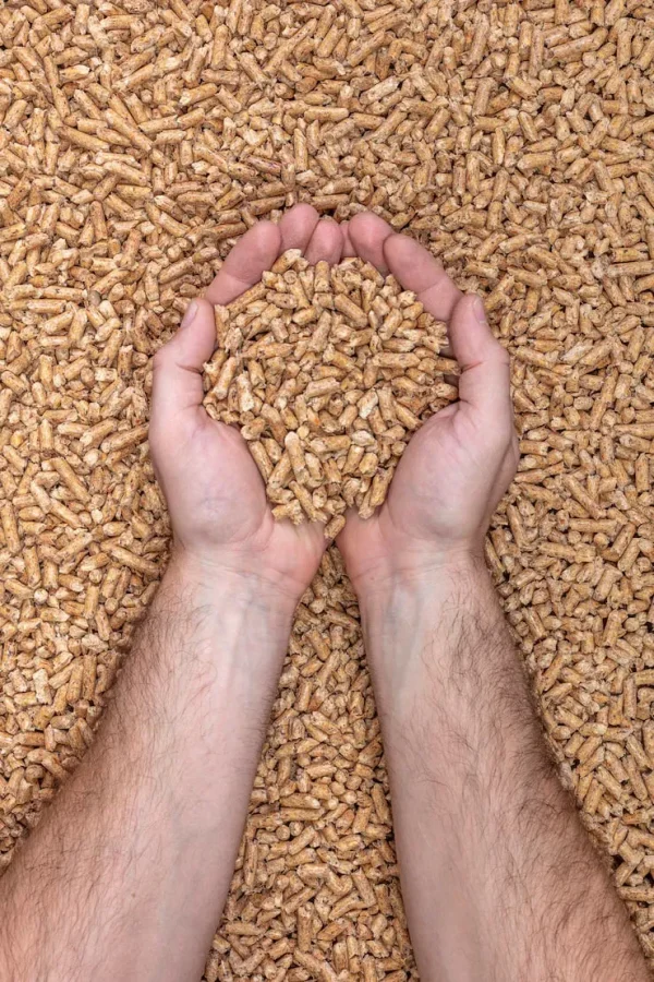Grower Feed (4-12 weeks)