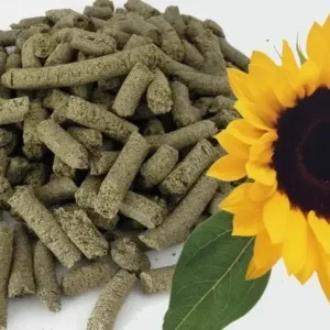 Sunflower Meal