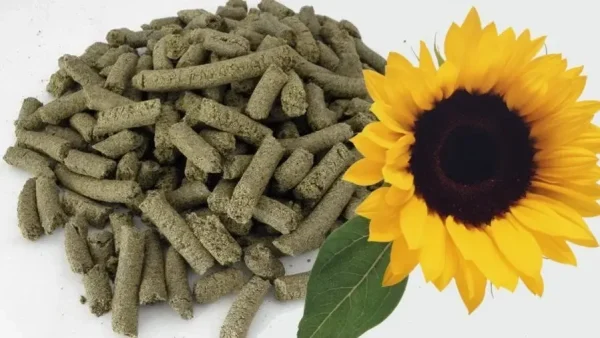 Sunflower Meal