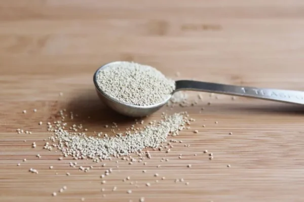 Feed Yeast