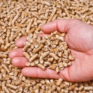 Broiler Feed (fast growth)