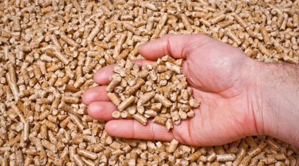 Broiler Feed (fast growth)