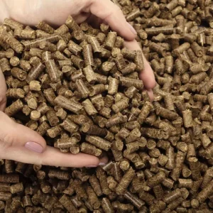 Adult Duck Feed