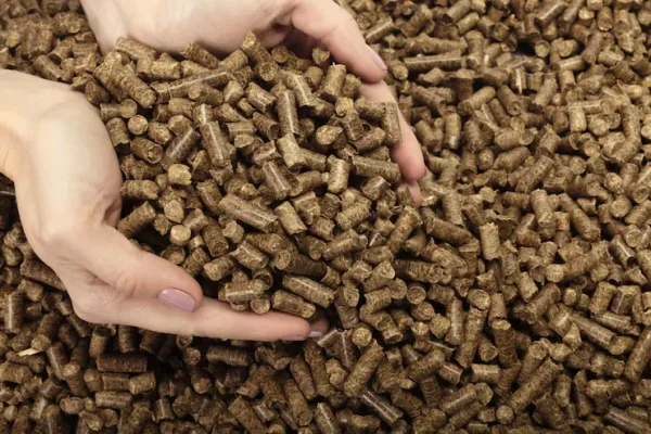 Adult Duck Feed